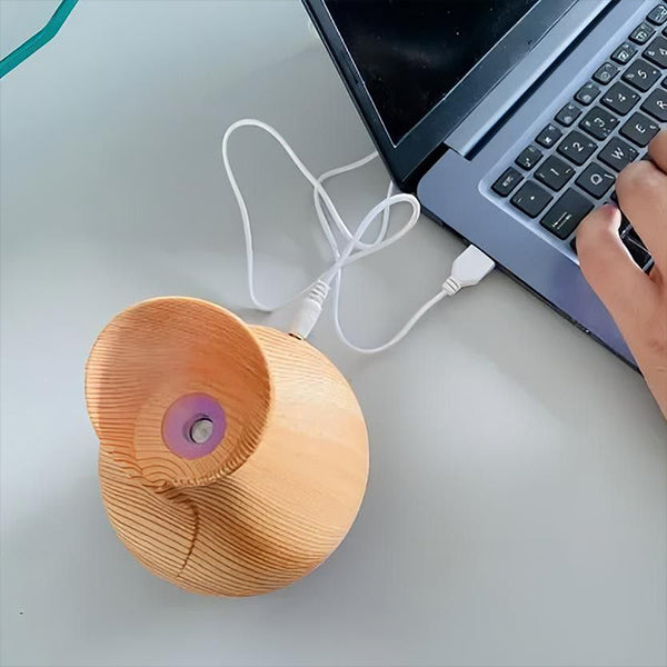 Diffuseur Décoratif en Bois