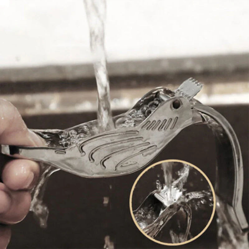 Presse - Agrumes en Acier Inoxydable au Design Créatif