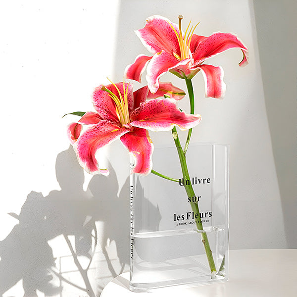 Vase à Livres Créatif