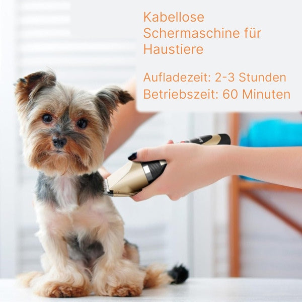 Tondeuse à Fourrure Silencieuse pour Animaux Domestiques