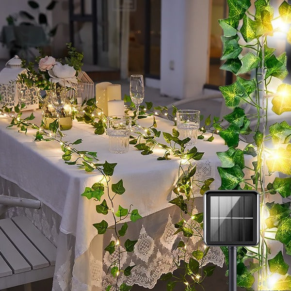 Chaînes Lumineuses Solaires à Base de Lierre pour une Lumière D' Ambiance