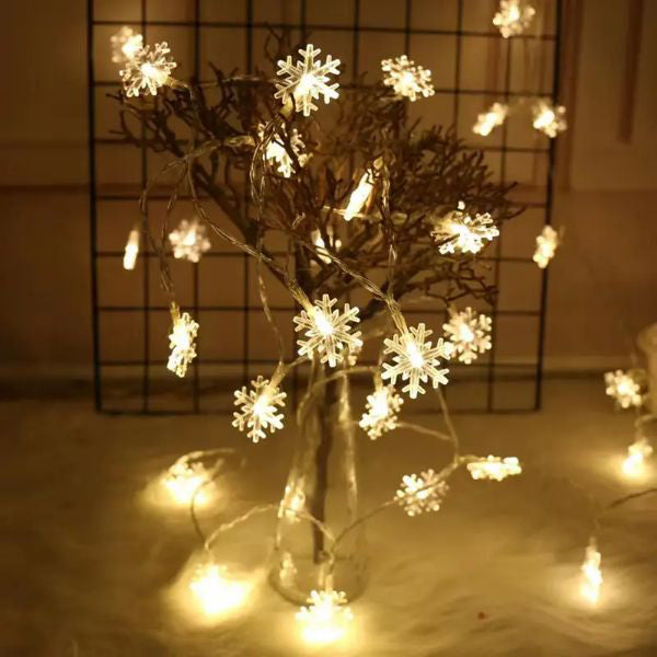 Chaîne de Lumière Hivernale