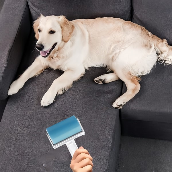 Eliminateur de Peluches et de Cheveux Réutilisable