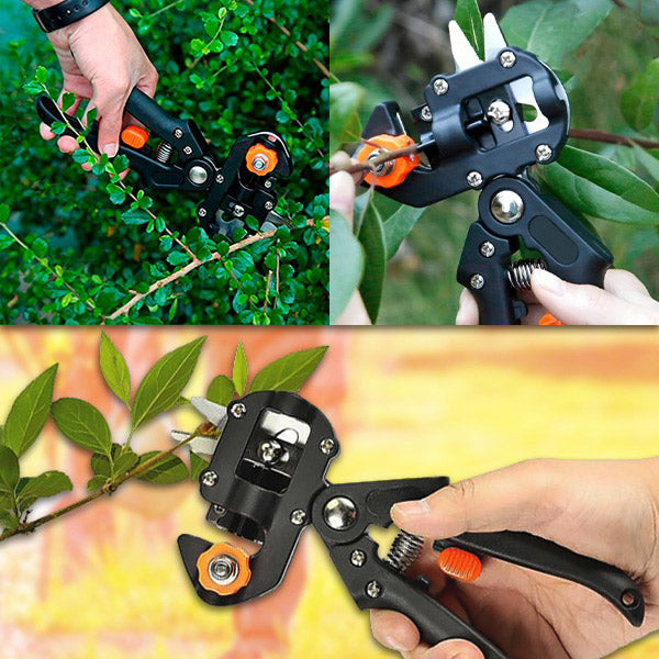 Ciseaux de Coupe et de Greffage Professionnels pour le Jardinage