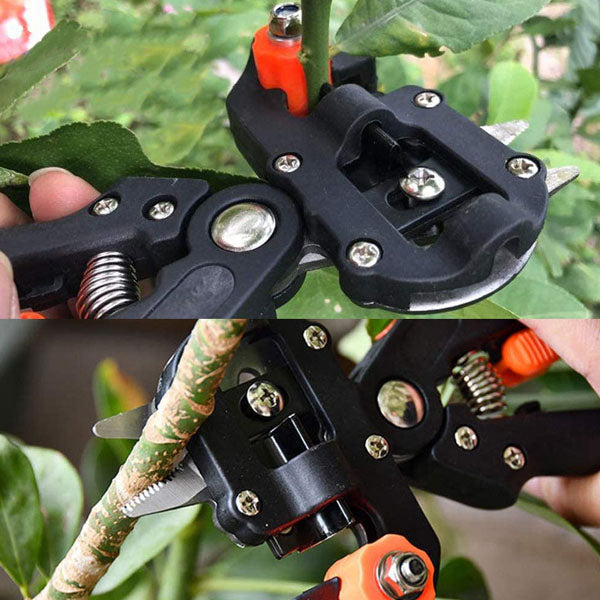 Ciseaux de Coupe et de Greffage Professionnels pour le Jardinage