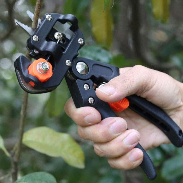 Ciseaux de Coupe et de Greffage Professionnels pour le Jardinage