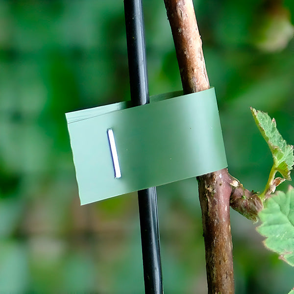 Lien Rapide pour Plantes