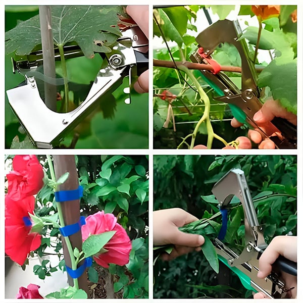Lien Rapide pour Plantes