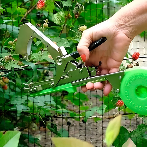 Lien Rapide pour Plantes