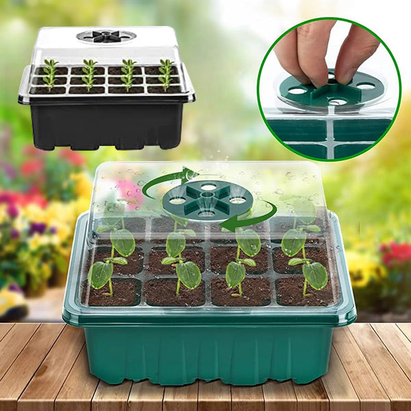 Plateau de Culture pour les Graines