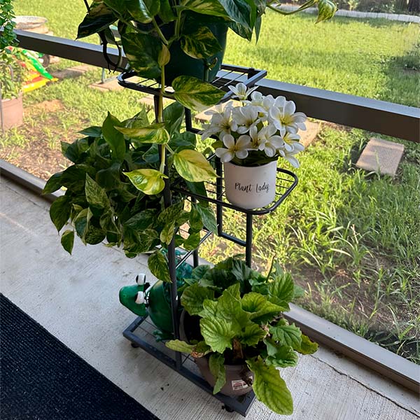 Porte-plantes Réglable en Hauteur (4 Étages)