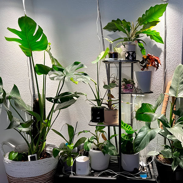 Porte-plantes Réglable en Hauteur (4 Étages)