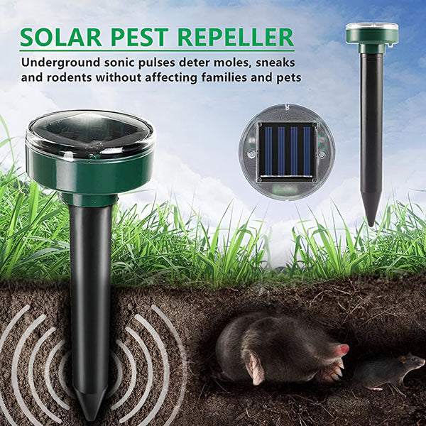Un Professionnel de la Protection Solaire contre les Insectes