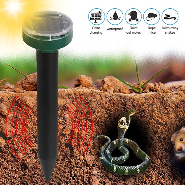 Un Professionnel de la Protection Solaire contre les Insectes