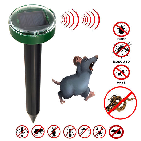 Un Professionnel de la Protection Solaire contre les Insectes