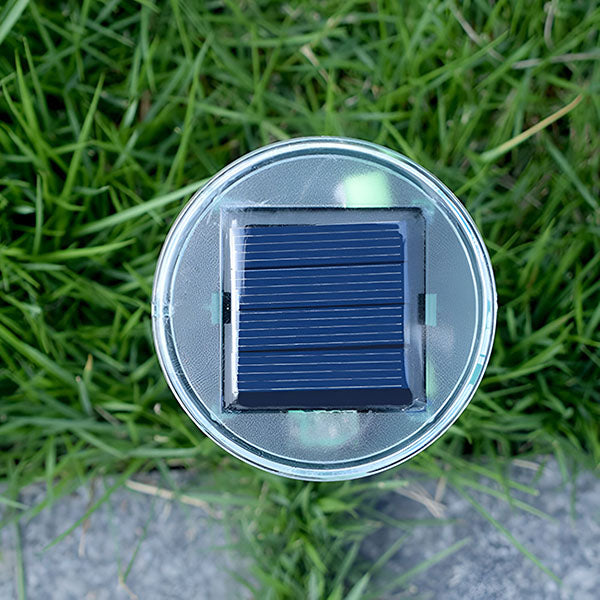 Un Professionnel de la Protection Solaire contre les Insectes