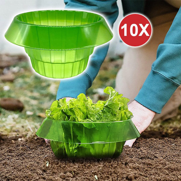 Protection des Jeunes Plantes pour une Croissance Saine