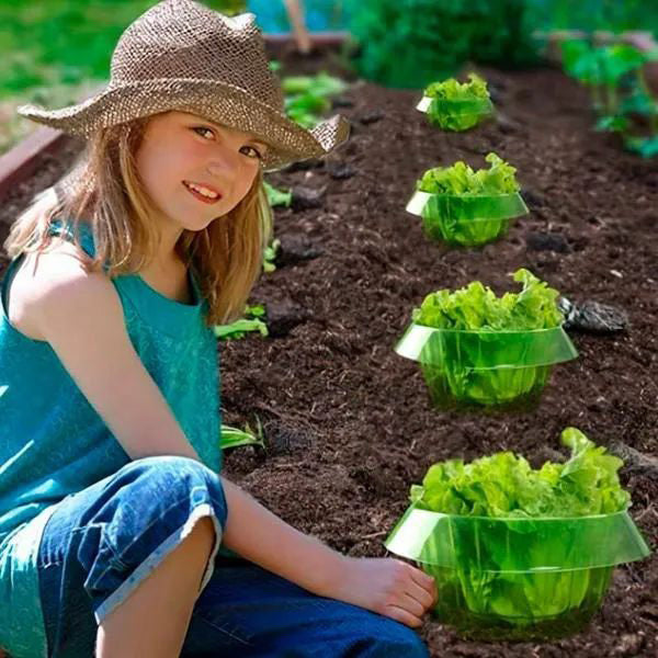 Protection des Jeunes Plantes pour une Croissance Saine