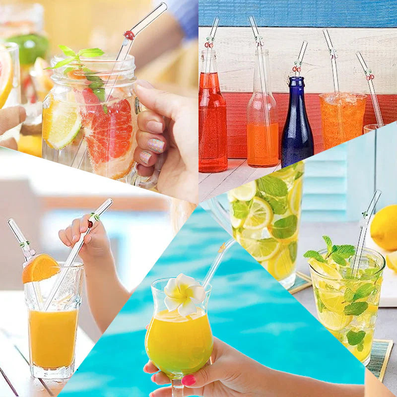 Kit de Pailles en Verre Réutilisables