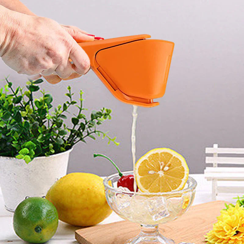 Pressoir Manuel pour Jus de Citron et D' Orange