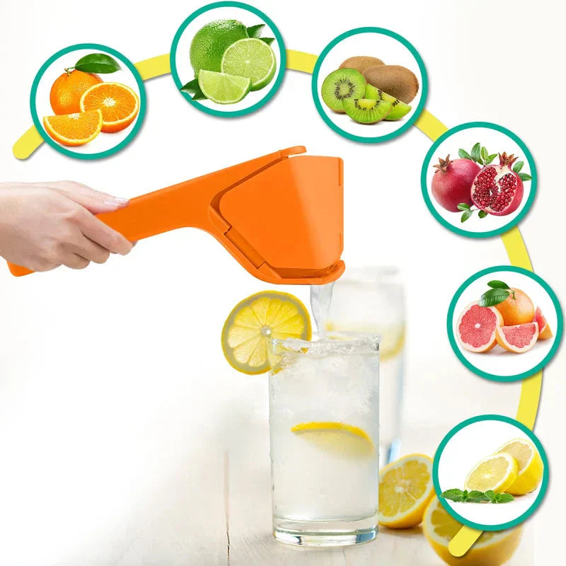 Pressoir Manuel pour Jus de Citron et D' Orange