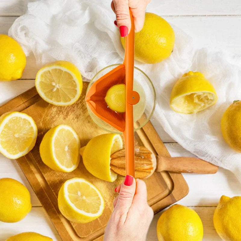 Pressoir Manuel pour Jus de Citron et D' Orange