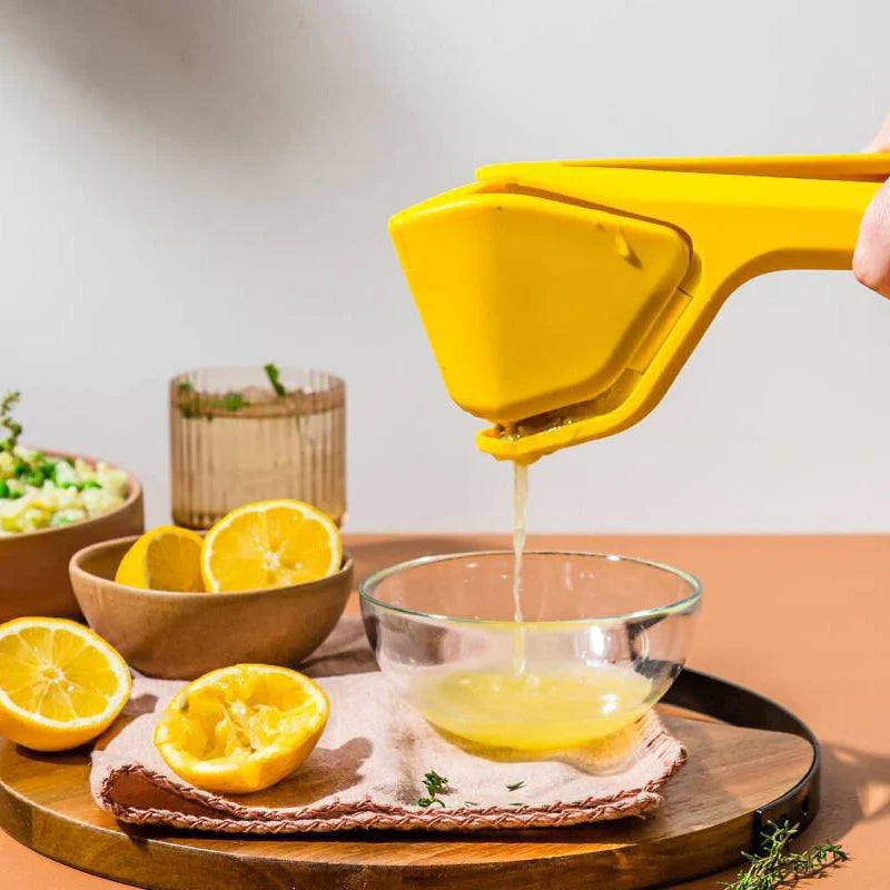 Pressoir Manuel pour Jus de Citron et D' Orange