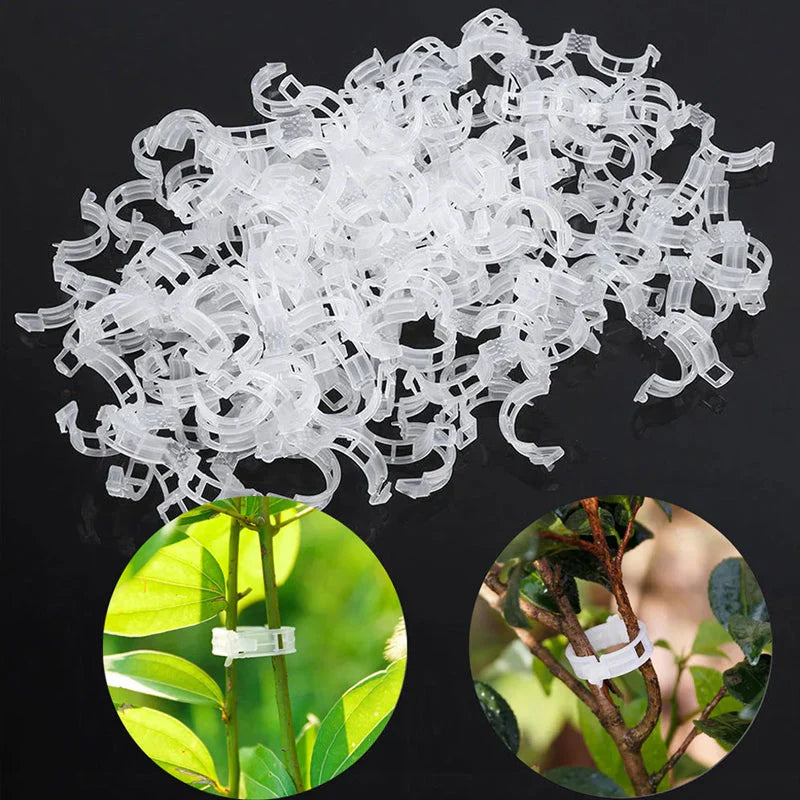 Clips pour Plantes Robustes pour un Maintien Sûr (100 Pcs)