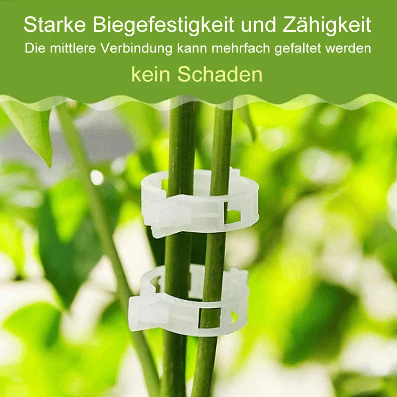 Clips pour Plantes Robustes pour un Maintien Sûr (100 Pcs)