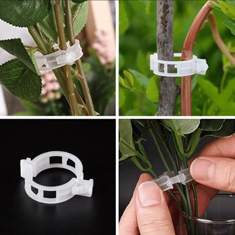 Clips pour Plantes Robustes pour un Maintien Sûr (100 Pcs)