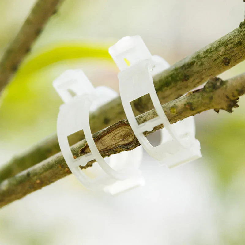 Clips pour Plantes Robustes pour un Maintien Sûr (100 Pcs)