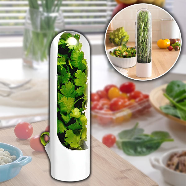 Récipient pour Herbes Aromatiques Étanche à L' Air