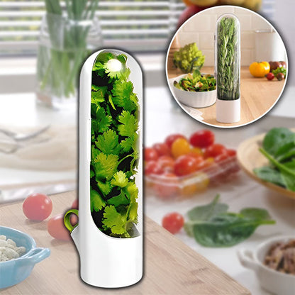 Récipient pour Herbes Aromatiques Étanche à L' Air