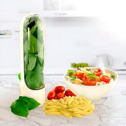 Récipient pour Herbes Aromatiques Étanche à L' Air