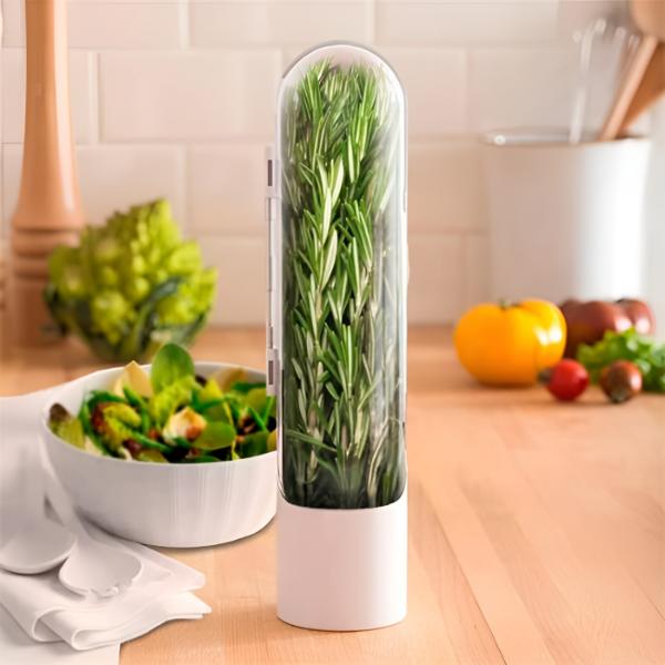Récipient pour Herbes Aromatiques Étanche à L' Air