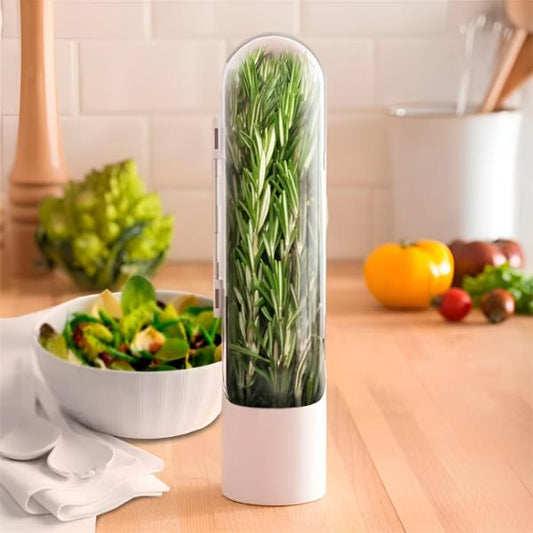 Récipient pour Herbes Aromatiques Étanche à L' Air