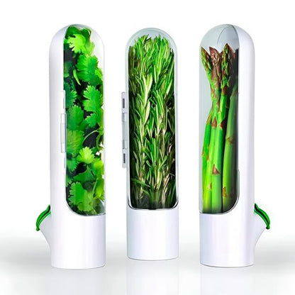 Récipient pour Herbes Aromatiques Étanche à L' Air