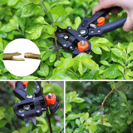 Ciseaux de Coupe et de Greffage Professionnels pour le Jardinage