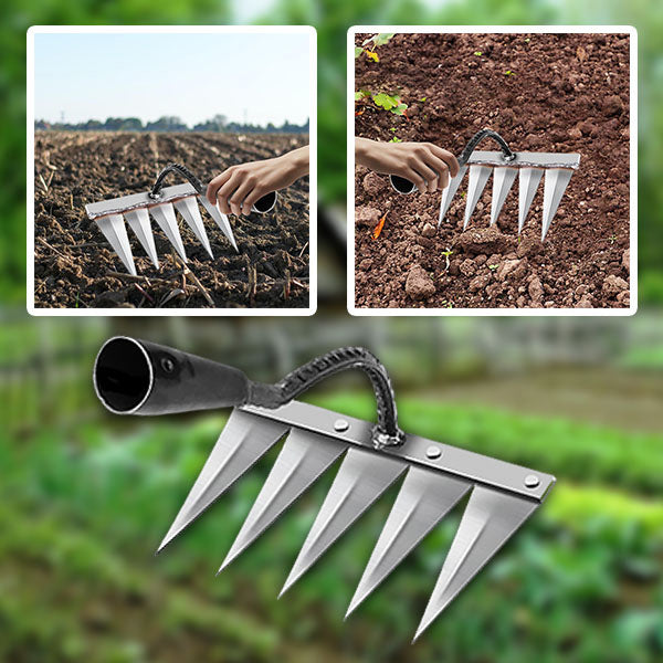Barbeuse de Jardin