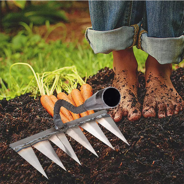 Barbeuse de Jardin