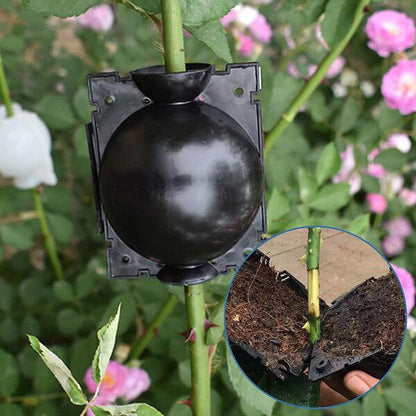 Boîte de Culture de Racines de Plantes en Lot de 5