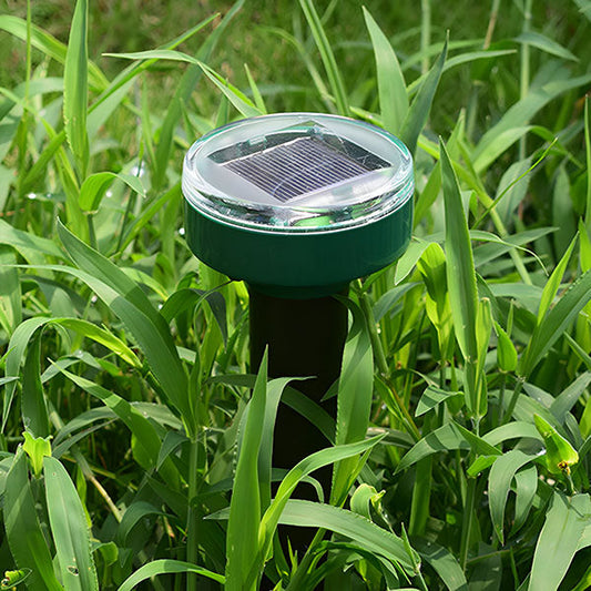 Un Professionnel de la Protection Solaire contre les Insectes