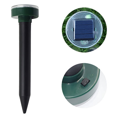 Un Professionnel de la Protection Solaire contre les Insectes