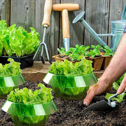 Protection des Jeunes Plantes pour une Croissance Saine