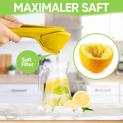 Pressoir Manuel pour Jus de Citron et D' Orange