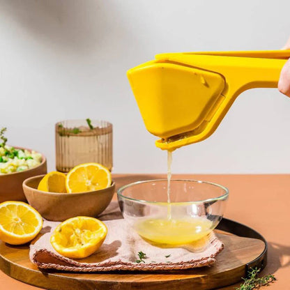Pressoir Manuel pour Jus de Citron et D' Orange