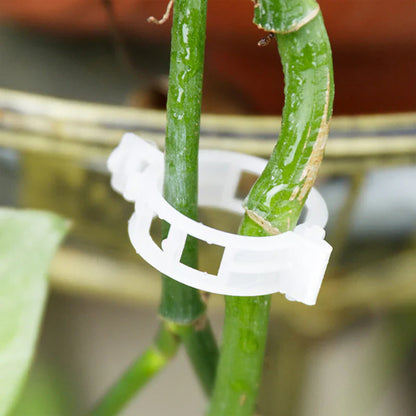 Clips pour Plantes Robustes pour un Maintien Sûr (100 Pcs)