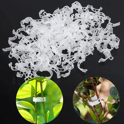 Clips pour Plantes Robustes pour un Maintien Sûr (100 Pcs)